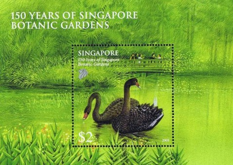 Botanic Gardens (2009) Miniature Sheet Black Swans