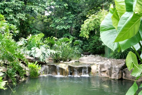 Waterfall Waterfall