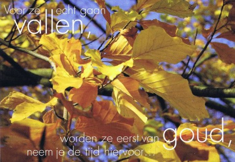 Autumn