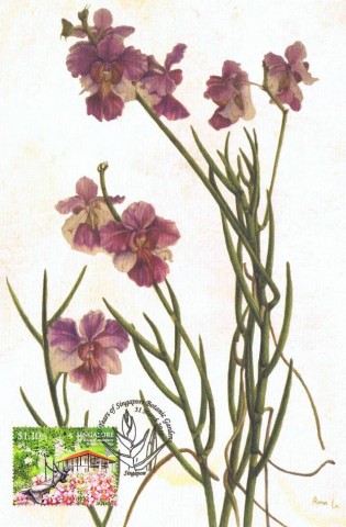 Vanda Miss Joaquim Art Print