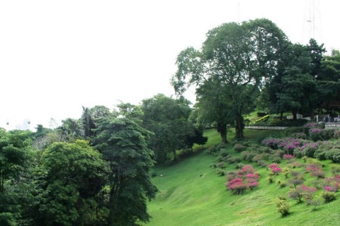 Mount Faber