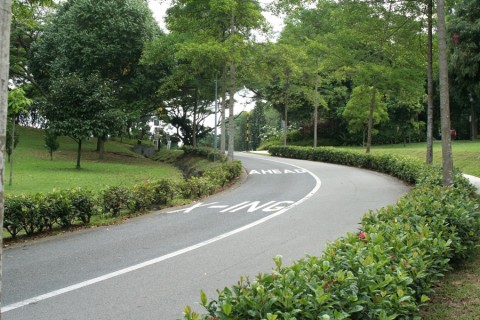 The Winding Road Up Mount Faber
