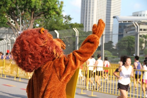 SSBR & AHM 2010 Lion