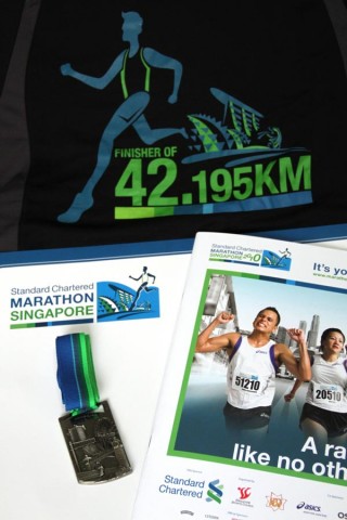 Standard Chartered Marathon Singapore 2010 - Finisher T-Shirt