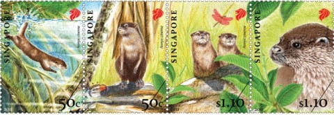 Oriental Small Clawed Otter