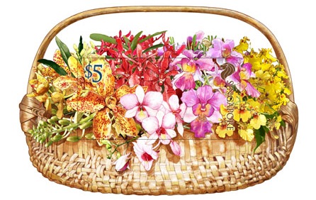 20th World Orchid Conference (2011) - Collectors' Sheet