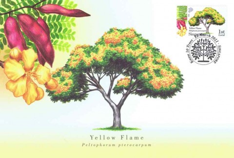 Know 10 Trees (2010): Yellow Flame